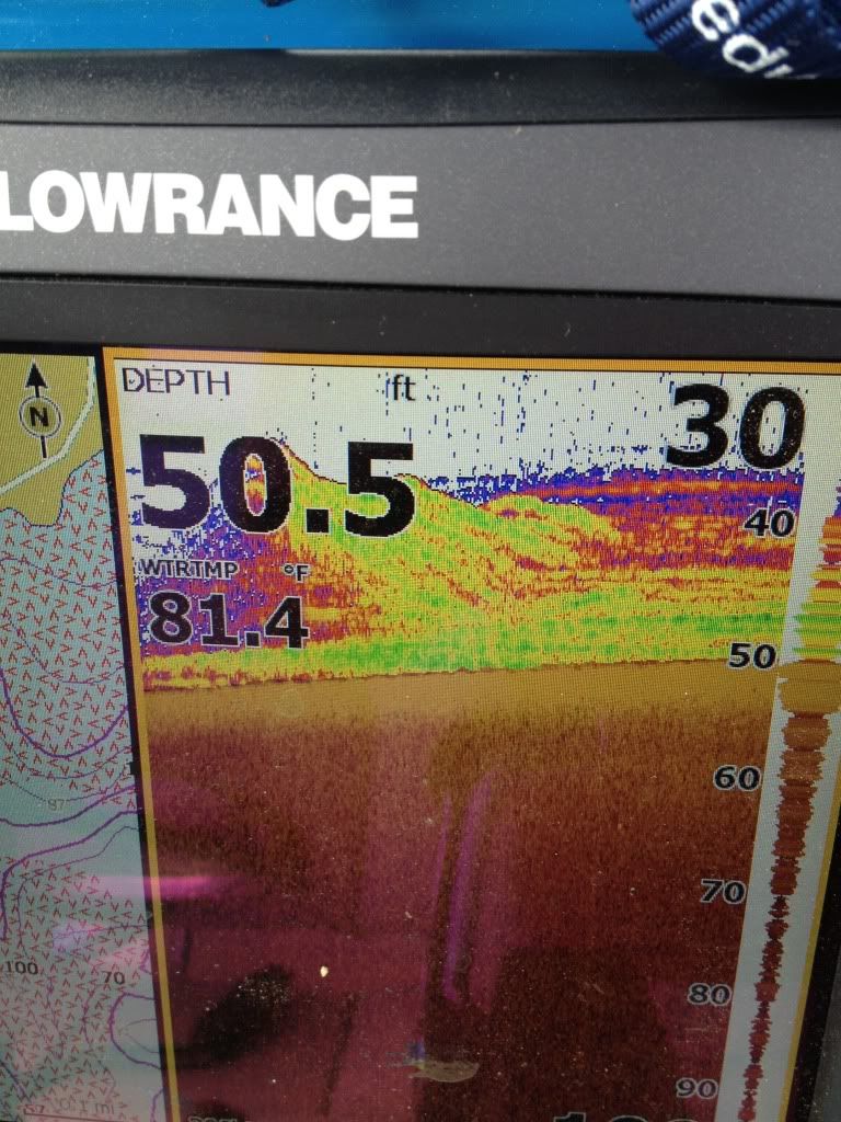 Stripers on sonar Smith Mountain Lake Fishing Forums